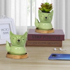 Lasaki Bear Green Ceramic Pot with Wooden Plate (WP4.5) for Indoor ...