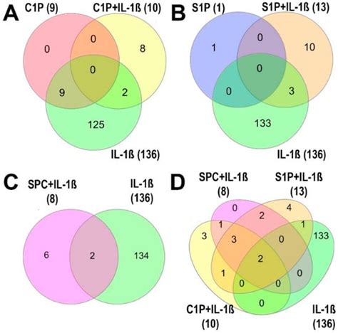 Functional Insights into the Sphingolipids C1P, S1P, and SPC in Human ...