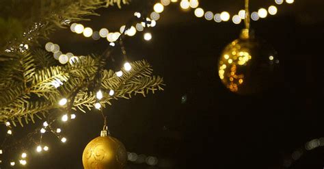 India seeks spike in cyberthreats in December: Surfshark