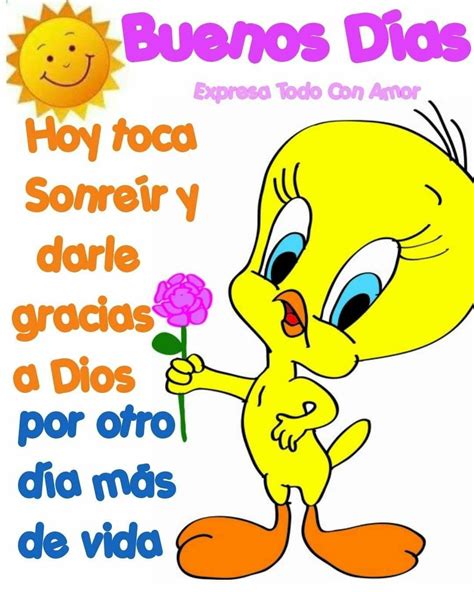 +50 Imágenes de Piolín con Mensajes de Buenos Días y Frases | Imágenes ...