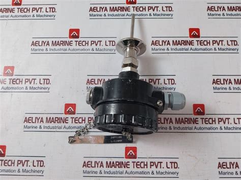 General Instruments 2Xpt100 Temperature Sensor – Aeliya Marine Tech
