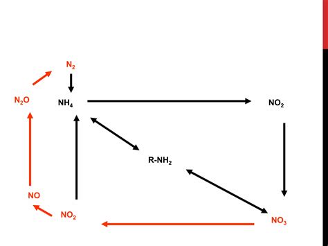 Nitrogen cycle and NITROGEN FIXATION | PPTX