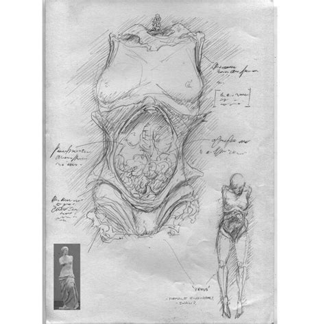 Image result for Alien Covenant David's Experiments