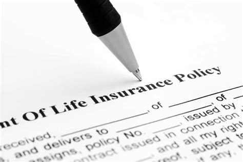 Life Insurance Policy Example 的图像结果