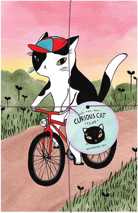 Buy The Curious Cat Club Notebook Set Book Online at Low Prices in ...