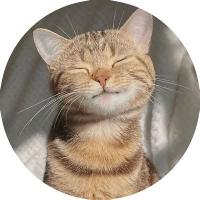 realarya51 | Wonderlink