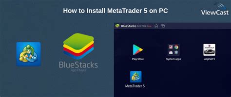 Install MetaTrader 5 的图像结果