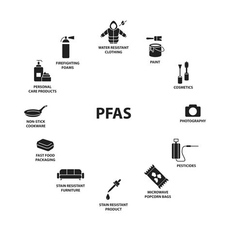 How to Avoid the Dangers of PFAS in Takeaway Packaging
