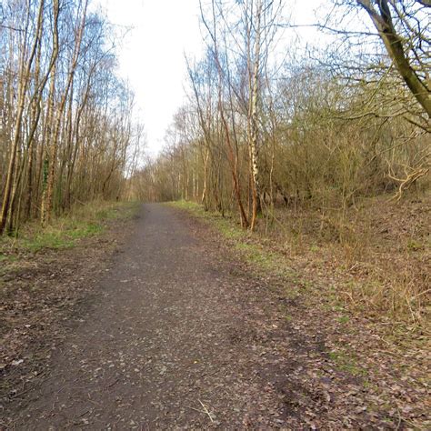 BALGOWNIE WOODLAND WALKS (2025) All You Need to Know BEFORE You Go ...