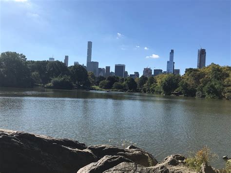 MADISON AND PARK PEDICAB TOURS OF CENTRAL PARK - All You SHOULD Know ...