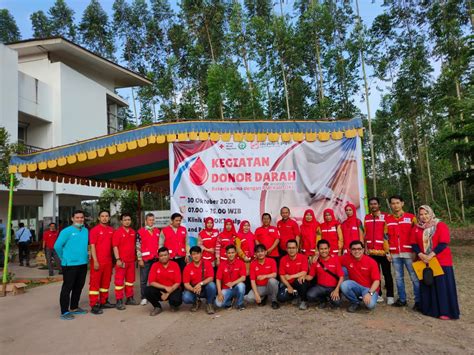 AMBIL SEKARANG