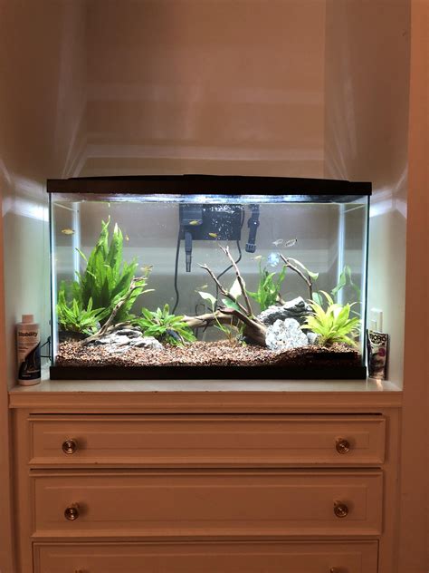 29 Gallon Fish Tank Measurements