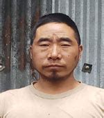 Cardamom Pod Plucking and Pruning Tools - National Innovation ...