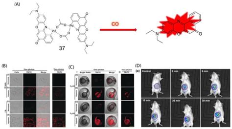 A Review for In Vitro and In Vivo Detection and Imaging of Gaseous ...