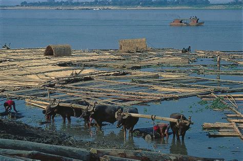 Irrawaddy River | Myanmar’s Largest River, Wildlife & History | Britannica
