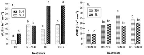 Effect of Digestate and Biochar Amendments on Photosynthesis Rate ...