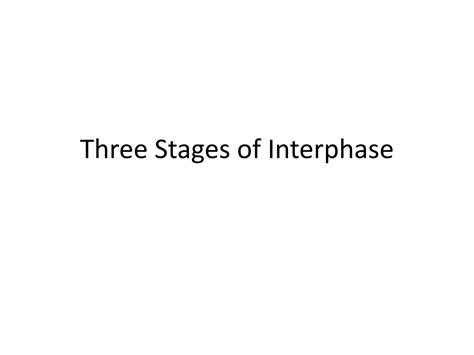 Image result for Interphase Movement