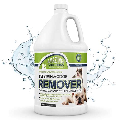 Steam Clean Pet Urine at Brenda Norris blog