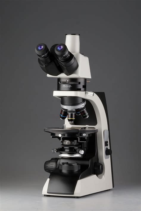 Polarizing Light Microscope 的图像结果