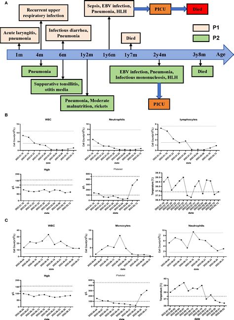 Frontiers | Two cases of combined immunodeficiency with ITPR3 mutations presenting with life ...
