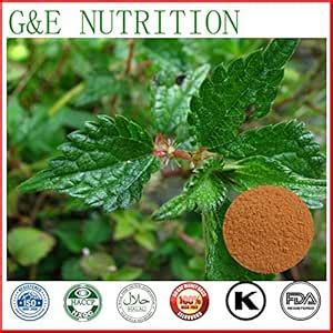 3nh GMP Stinging Nettle Root Extract, 100g/bag : Amazon.in: Health ...