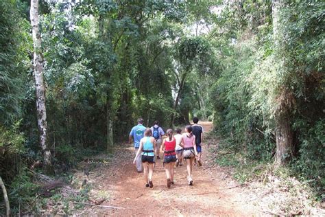 Jungle Fly Iguazu Tickets - Hellotickets