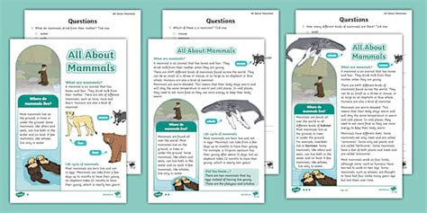 KS1 All About Mammals Differentiated Reading Comprehension Activity