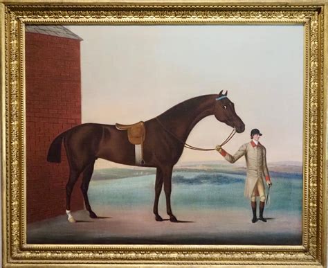 Benjamin Killingbeck - A dark bay racehorse held by his trainer at Newmarket Heath For Sale at ...