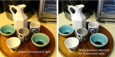 Image result for Manual Camera Guide