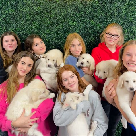 Puppy Yoga and Kitten Yoga - Austin TX — Inner Diva Studios