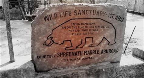 Mount Abu Wildlife Sanctuary, Wildlife Sanctuary on The Aravallis