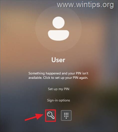 Image result for Troubleshoot Pin Problems