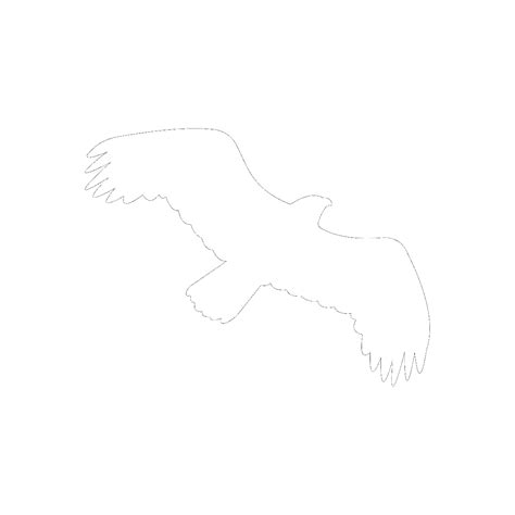 The Windhover Poem Summary and Analysis | LitCharts