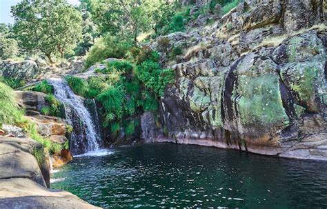 River Pool 的图像结果