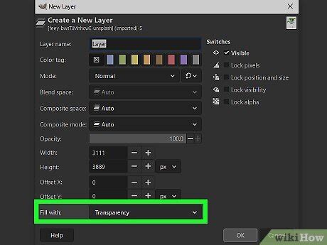 Image result for How to Repaint Using GIMP
