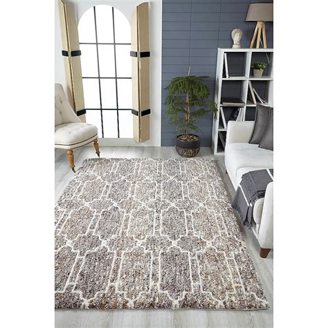 Everyday Woven 3 x 5 (ft) Loomed Mocha Rectangular Indoor Geometric ...