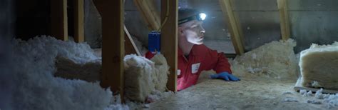 Attic Pest Control 的图像结果