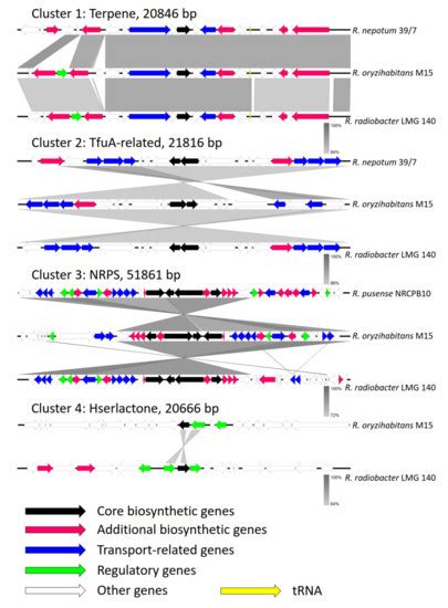 Microorganisms | Special Issue : Microbial Isolation and Characterization