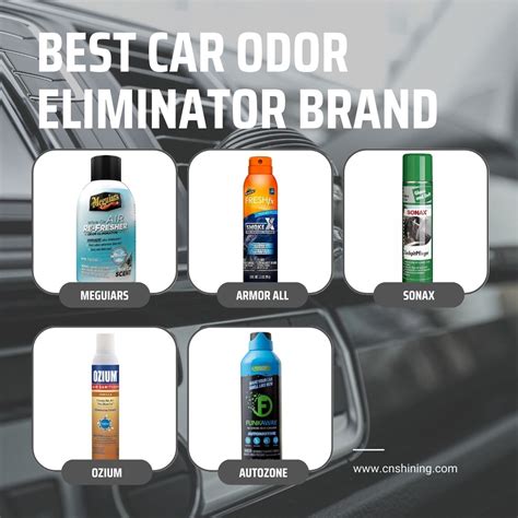 Best Car Smell Remover at Julia Alvarado blog