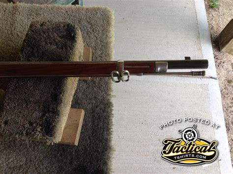 Loading Springfield Trapdoor 的图像结果