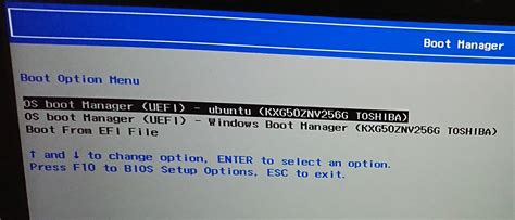 Image result for Boot Manager Boot Option Menu