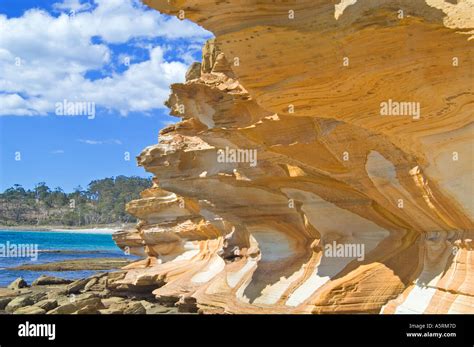 Image result for Sample Website Create in HTML