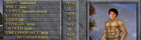 Image result for Daggerfall Unity Mod Presets