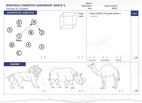 Rezultat imagine pentru Cognitive Test Questions Example