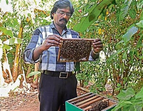 Mumbai’s lone bee keeper speaks up to save Aarey | Mumbai news