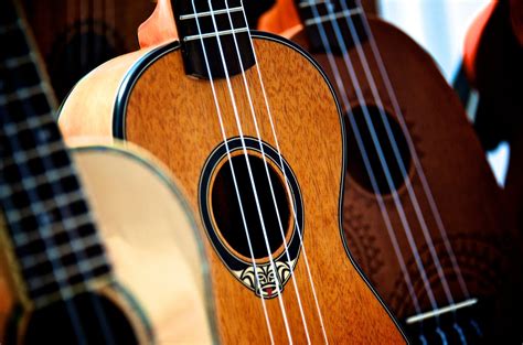 What is a good ukulele brand for beginners? 7 Best brand for beginners