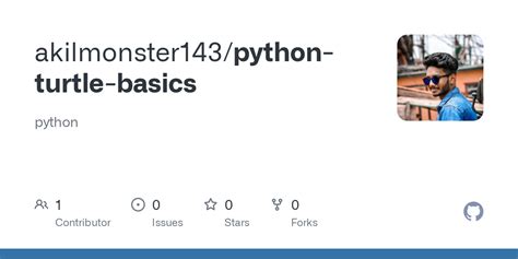 Image result for Turtle Basics Python