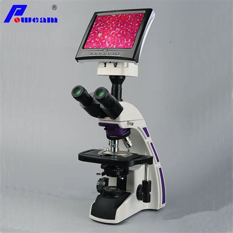 Medical Microscope 的图像结果