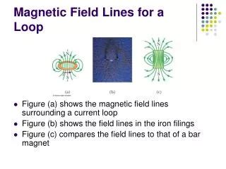 Image result for Magnetic Field for Loop
