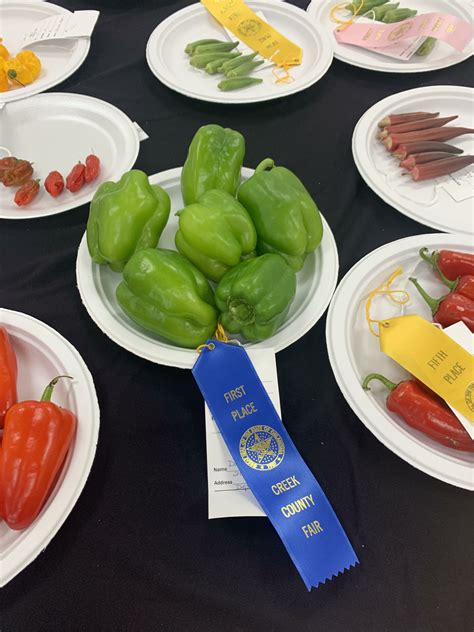 Don’t forget the upcoming 2022 Creek County Fair! – Sapulpa Times